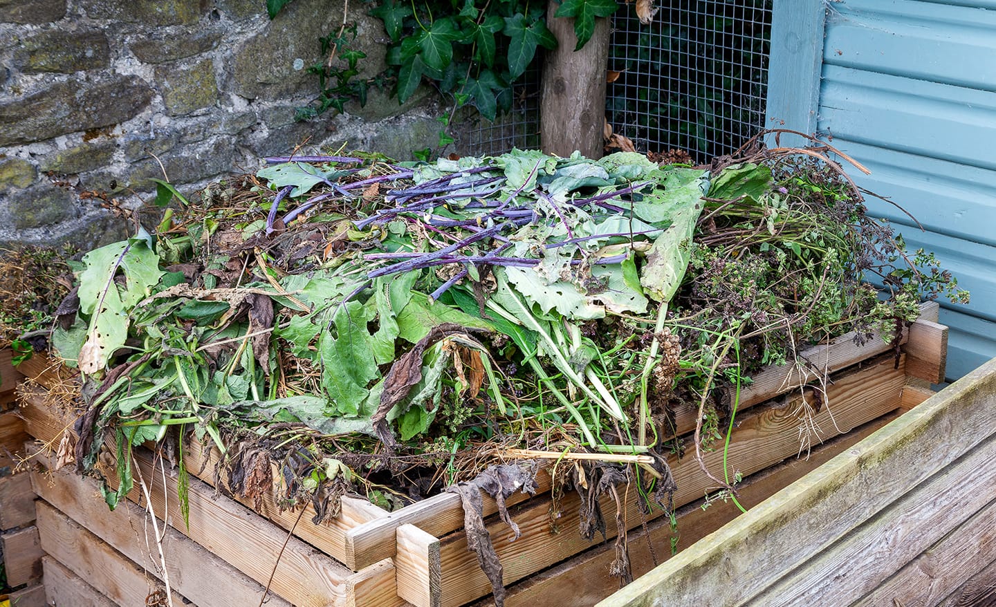 How to Compost in Winter The Home Depot